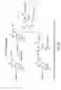 Fig. 56 - RNA interference mediated inhibition of gene expression using chemically modified short interfering nucleic acid (siNA)