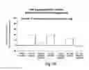 Fig. 77 - RNA interference mediated inhibition of gene expression using chemically modified short interfering nucleic acid (siNA)