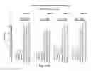 Fig. 78 - RNA interference mediated inhibition of gene expression using chemically modified short interfering nucleic acid (siNA)