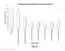 Fig. 93 - RNA interference mediated inhibition of gene expression using chemically modified short interfering nucleic acid (siNA)