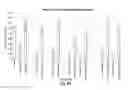 Fig. 95 - RNA interference mediated inhibition of gene expression using chemically modified short interfering nucleic acid (siNA)