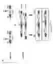 Fig. 04 - TARGETED GENOME ENGINEERING IN EUKARYOTES