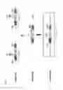 Fig. 06 - TARGETED GENOME ENGINEERING IN EUKARYOTES