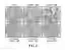 Fig. 03 - Compositions Having Dicamba Decarboxylase Activity and Methods of Use