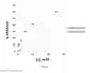 Fig. 07 - Compositions Having Dicamba Decarboxylase Activity and Methods of Use