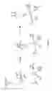 Fig. 11 - Compositions Having Dicamba Decarboxylase Activity and Methods of Use