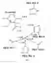 Fig. 13 - Compositions Having Dicamba Decarboxylase Activity and Methods of Use