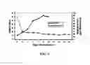 Fig. 08 - Self-complementary parvoviral vectors, and methods for making and using the same