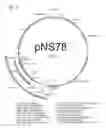 Fig. 03 - Genetically modified 