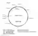 Fig. 07 - Genetically modified 