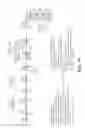 Fig. 16 - METHODS AND ORGANISMS FOR UTILIZING SYNTHESIS GAS OR OTHER GASEOUS CARBON SOURCES AND METHANOL