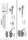 Fig. 05 - Production of Defined Monodisperse Heparosan Polymers and Unnatural Polymers with Polysaccharide Synthases