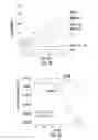 Fig. 08 - METHODS FOR IDENTIFYING PROTEINS AND COMPOUNDS THAT MODULATE THE ACTIVITY OF OTUB1