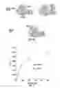 Fig. 09 - METHODS FOR IDENTIFYING PROTEINS AND COMPOUNDS THAT MODULATE THE ACTIVITY OF OTUB1