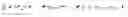 Fig. 02 - SET OF PRIMERS AND PROBES TO BE USED FOR IDENTIFICATION OF GENE POLYMORPHISM AND USE THEREOF