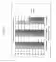 Fig. 22 - Multiplex Y-STR analysis