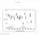 Fig. 23 - Multiplex Y-STR analysis