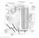 Fig. 01 - Microfluidic devices