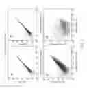 Fig. 15 - Method for Differentiation of Polynucleotide Strands