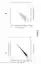 Fig. 16 - Method for Differentiation of Polynucleotide Strands