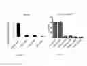 Fig. 09 - MARKERS OF ENDOTHELIAL PROGENITOR CELLS AND USES THEREOF