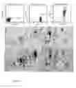 Fig. 07 - MICRO-RNAS MODULATING IMMUNITY AND INFLAMMATION