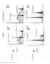 Fig. 21 - MICRO-RNAS MODULATING IMMUNITY AND INFLAMMATION