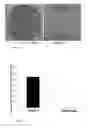 Fig. 23 - MICRO-RNAS MODULATING IMMUNITY AND INFLAMMATION