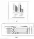 Fig. 02 - Genospecific radiosensitization