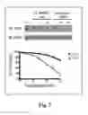 Fig. 05 - Genospecific radiosensitization