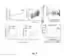 Fig. 06 - Genospecific radiosensitization