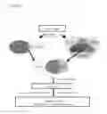 Fig. 04 - COMPOSITIONS AND METHODS FOR PREDICTION OF CLINICAL OUTCOME FOR ALL STAGES AND ALL CELL TYPES OF NON-SMALL CELL LUNG CANCER IN MULTIPLE COUNTRIES