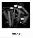 Fig. 04 - Compositions and methods for detecting cancer metastasis
