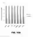 Fig. 18 - Compositions and methods for detecting cancer metastasis