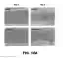 Fig. 22 - Compositions and methods for detecting cancer metastasis