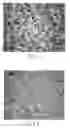 Fig. 02 - High-strength, high-damping-capacity cast iron