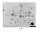 Fig. 09 - SCALABLE PROCESSING OF NANOCOMPOSITES USING PHOTON-BASED METHODS