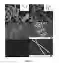 Fig. 06 - Synthesis of nanopeapods by galvanic displacement of segmented nanowires
