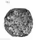 Fig. 07 - METHOD FOR PRODUCING SiC SINGLE CRYSTAL
