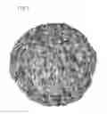 Fig. 08 - METHOD FOR PRODUCING SiC SINGLE CRYSTAL