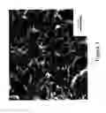 Fig. 04 - Nanofibers from Substituted Polyaniline and Methods of Synthesizing and Using the Same