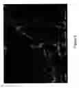 Fig. 07 - Nanofibers from Substituted Polyaniline and Methods of Synthesizing and Using the Same