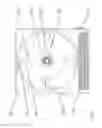 Fig. 31 - Apparatus, system and method for utilizing thermal energy