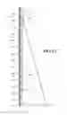 Fig. 12 - PRECAST CONCRETE STRUCTURES, PRECAST TILT-UP CONCRETE STRUCTURES AND METHODS OF MAKING SAME