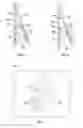 Fig. 05 - Vehicle closure obstacle detection systems and methods