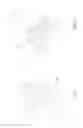 Fig. 03 - WINDOW COVERING AND TIGHTENER OF THE SAME