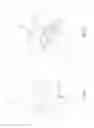 Fig. 05 - WINDOW COVERING AND TIGHTENER OF THE SAME