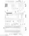 Fig. 03 - Drill head