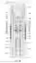 Fig. 04 - Dual stem injection valve