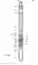 Fig. 07 - Dual stem injection valve
